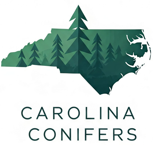 Carolina Conifers Nursery & Landscape