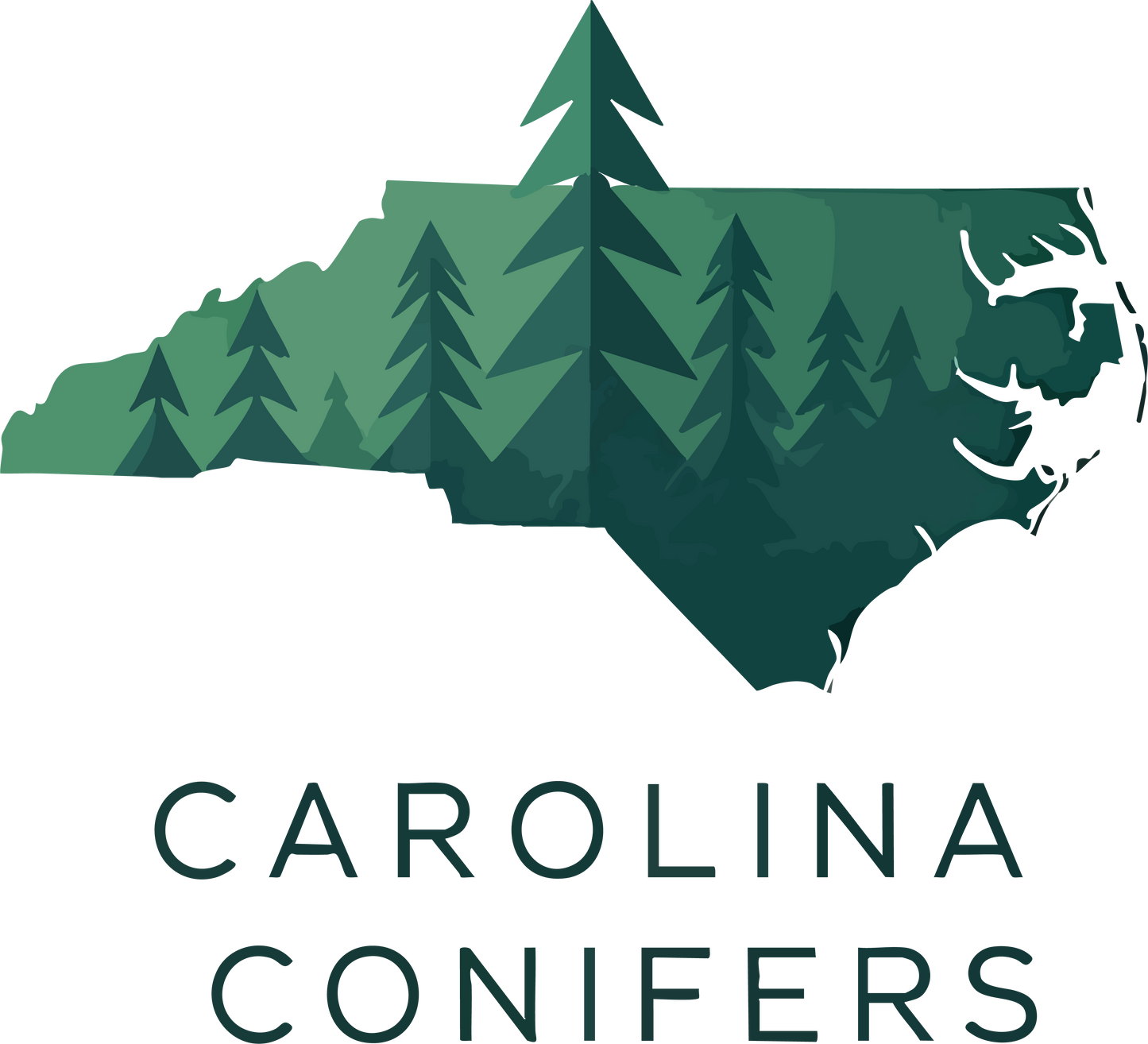 Carolina Conifers Gift Card